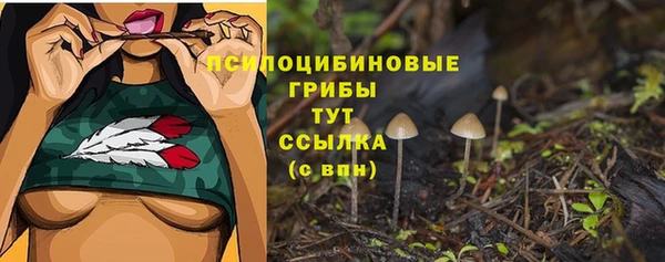 кокс Касимов