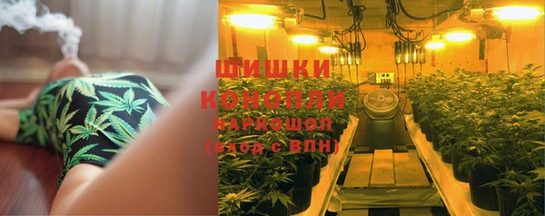 ПСИЛОЦИБИНОВЫЕ ГРИБЫ Киреевск