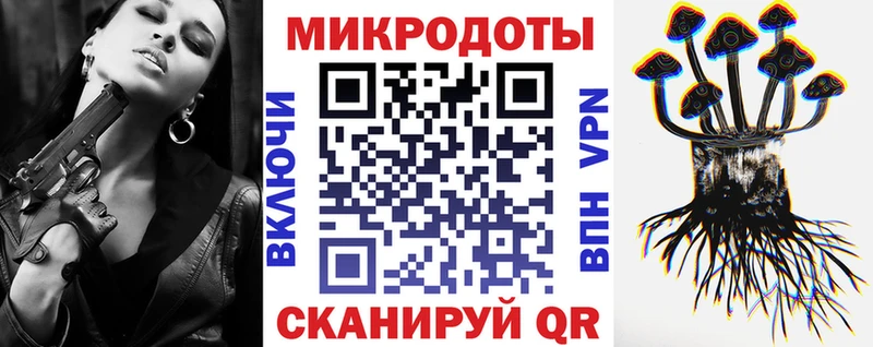 купить наркотики сайты  Кондрово  Псилоцибиновые грибы Psilocybine cubensis 